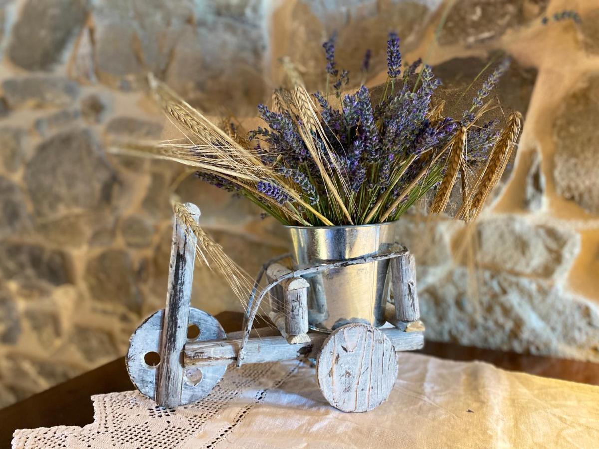 L'Oca Giuliva Relais Bed & Breakfast Gaggio Montano Dış mekan fotoğraf